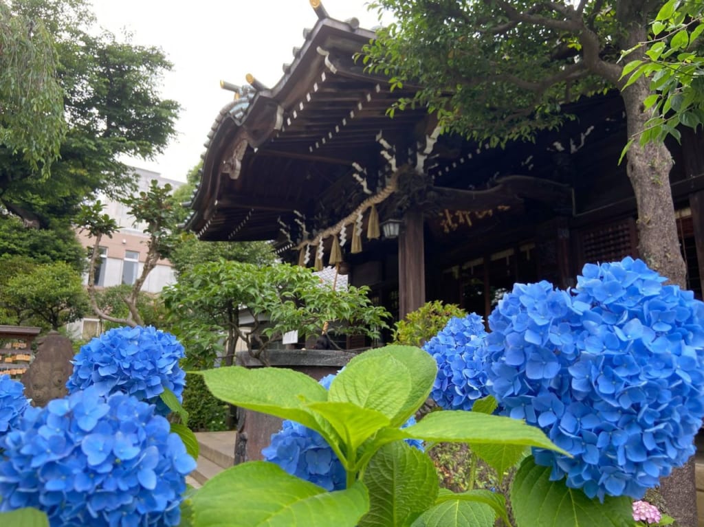 白山神社２