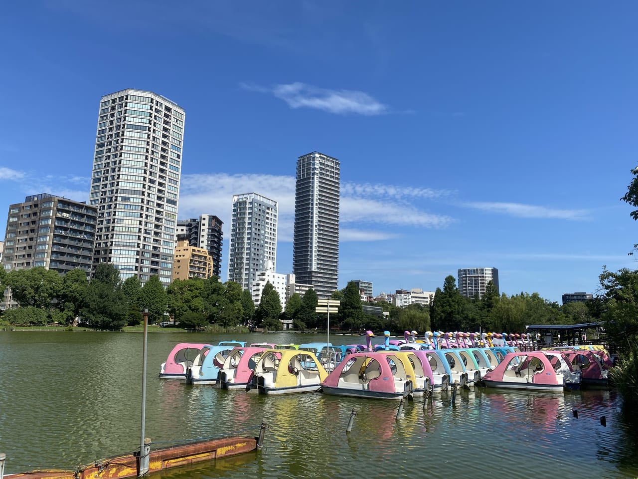 上野恩寵公園不忍池