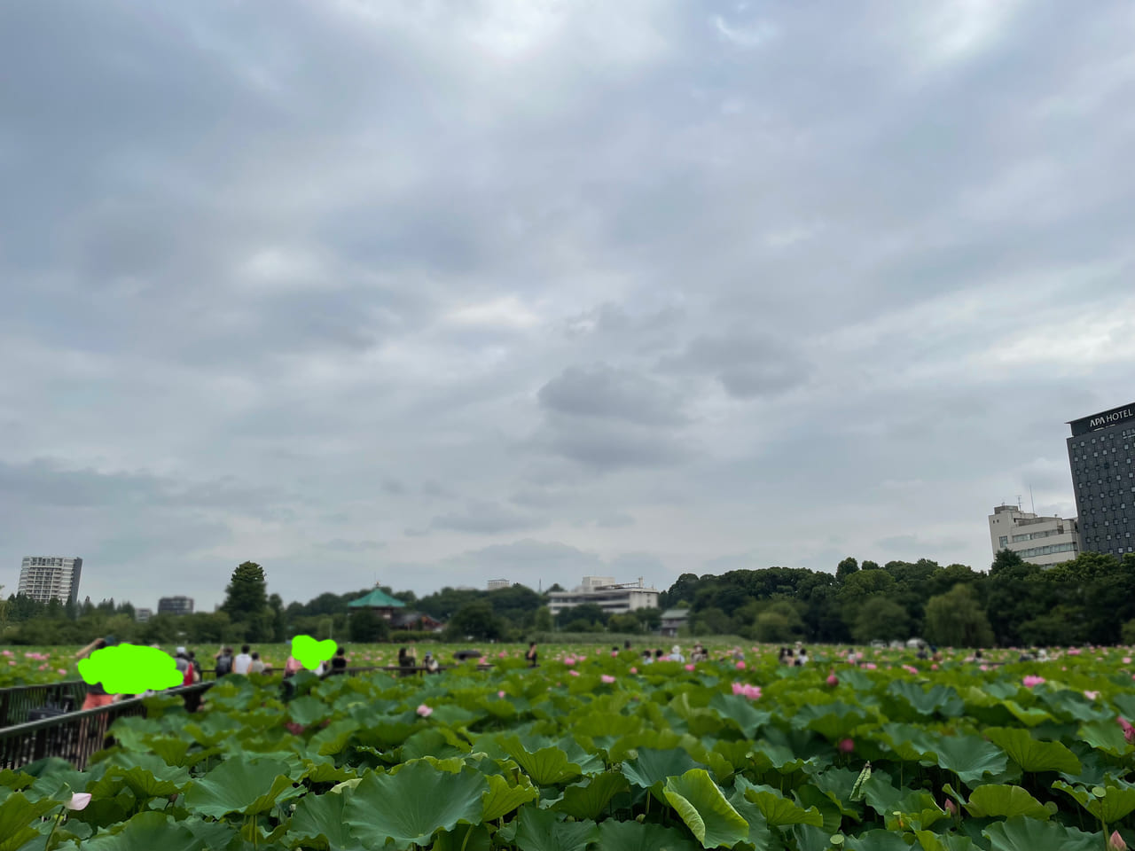 上野恩寵公園不忍池