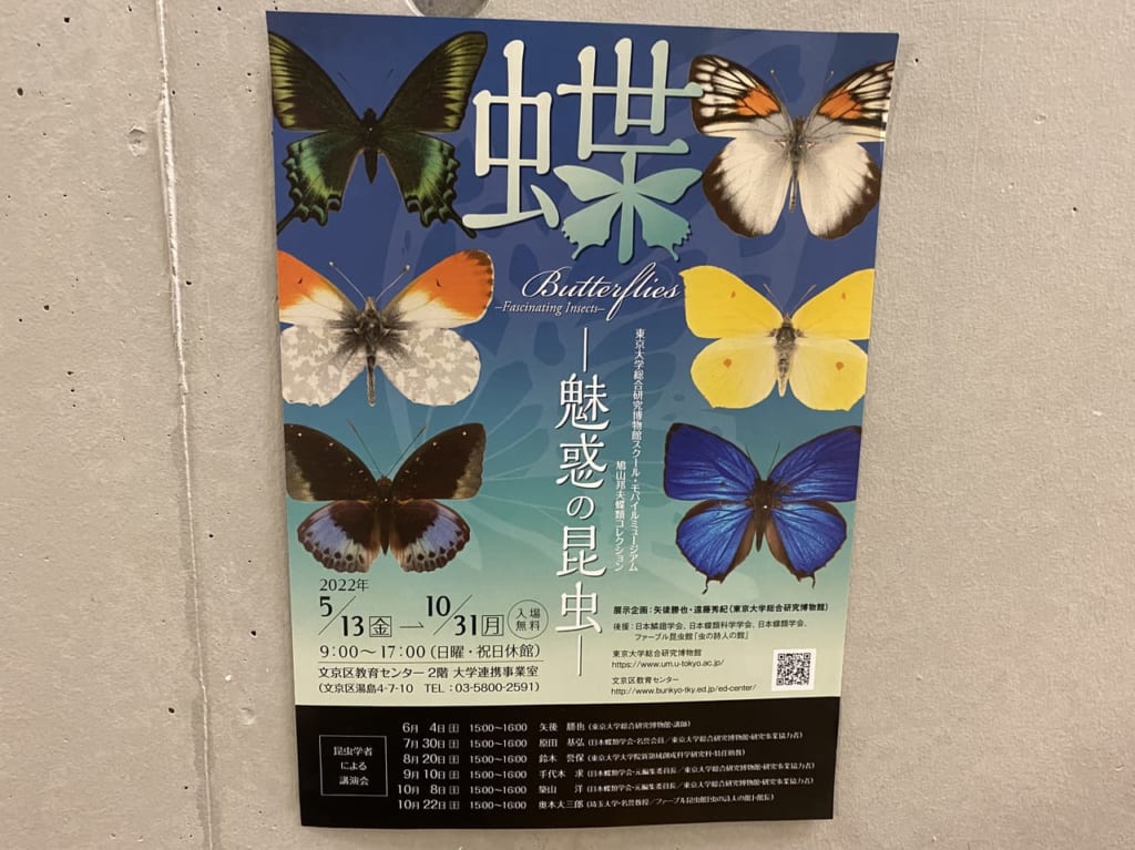 文京教育センター