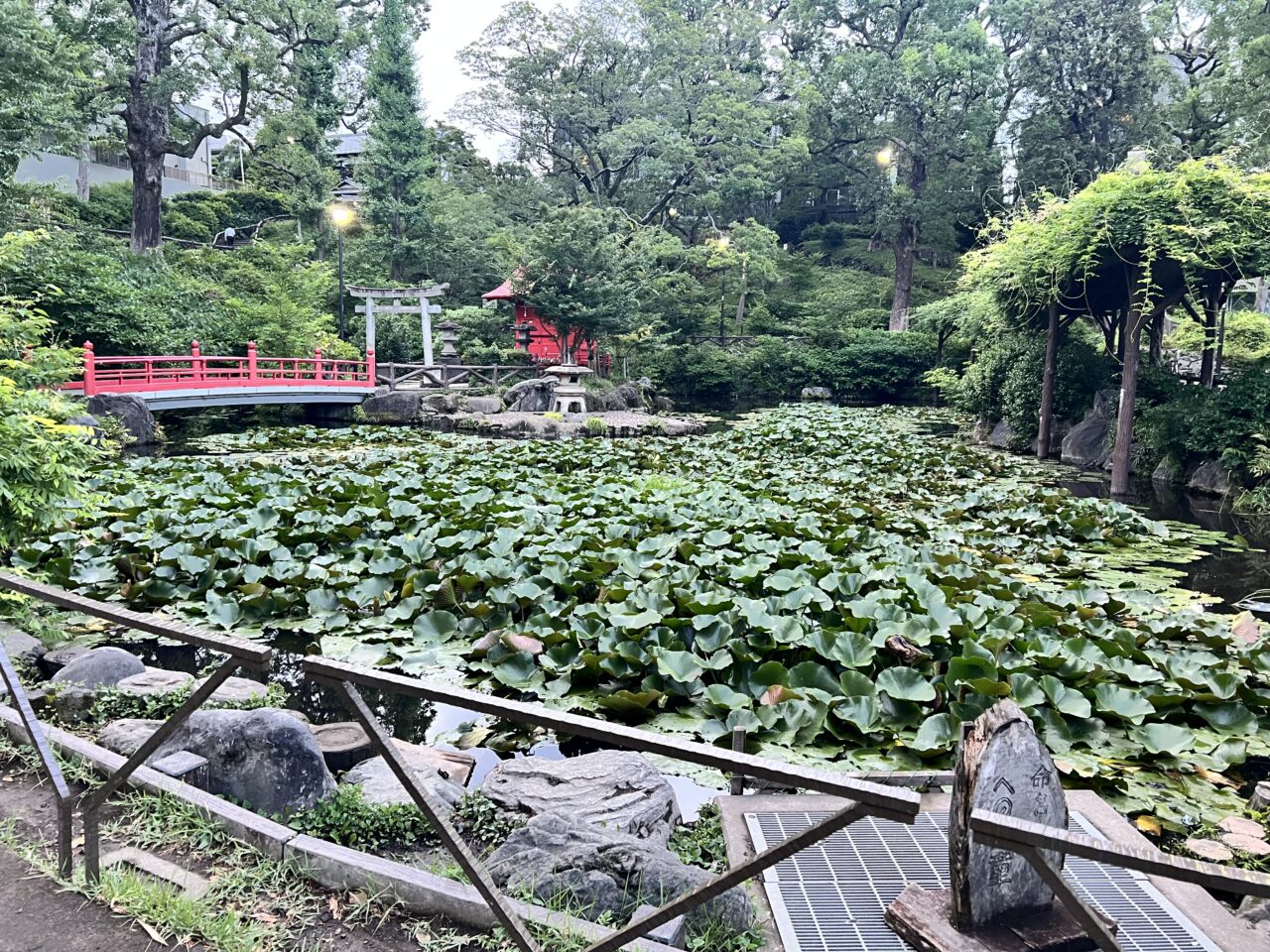 須藤公園