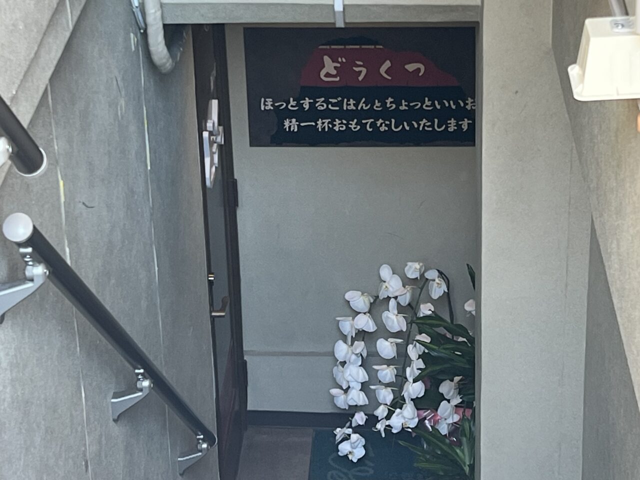 どうくつ
