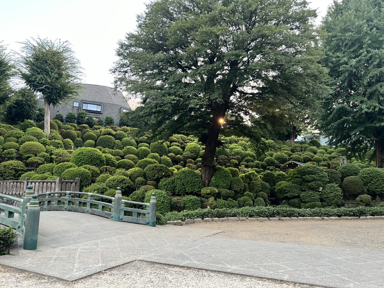 根津神社